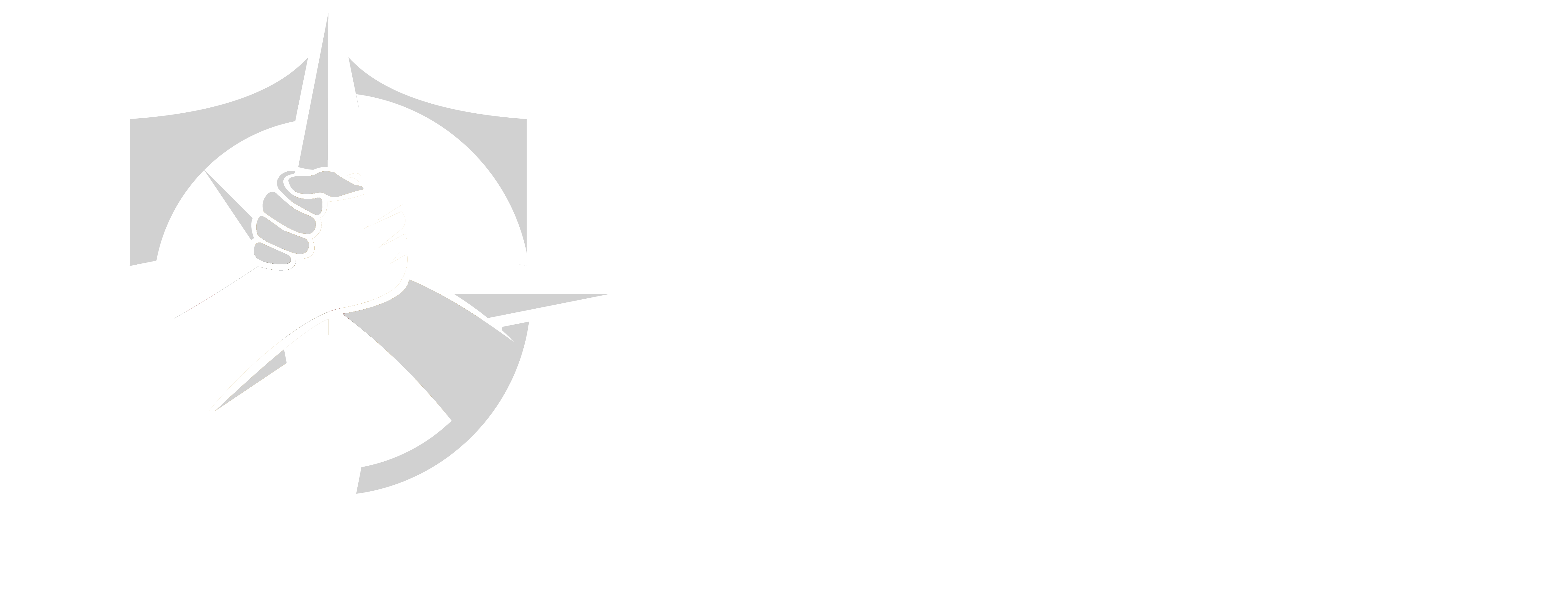 KNB Logo